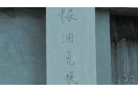 玛多如何避免债务纠纷？专业追讨公司教您应对之策